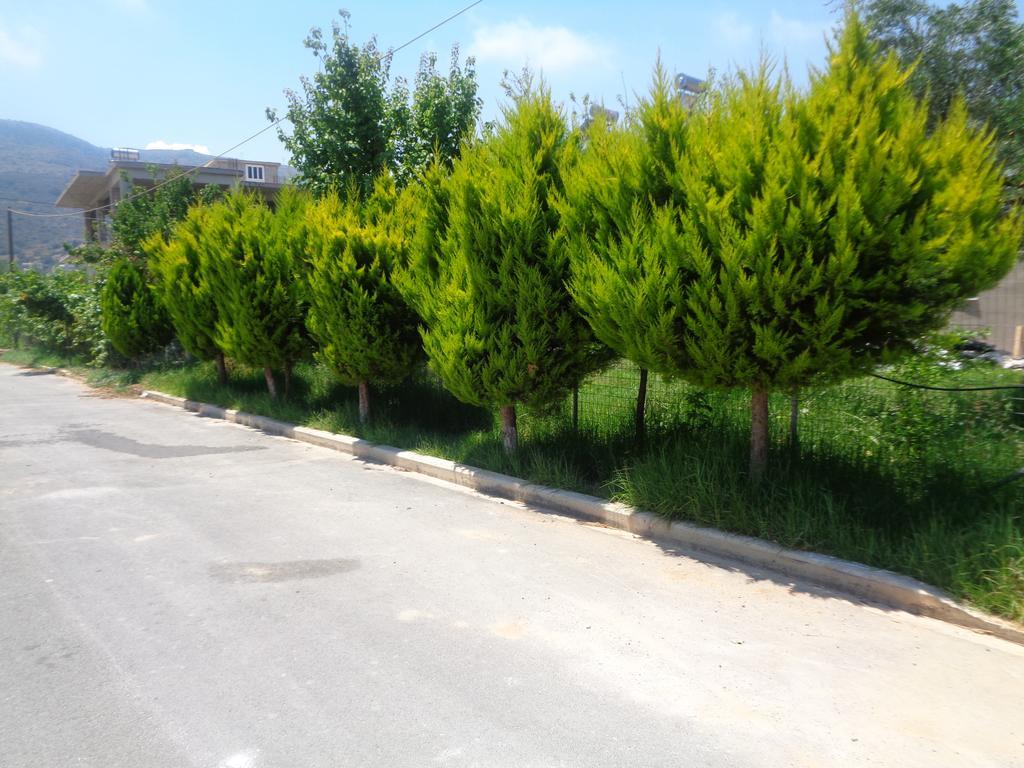 Creta Nostos Luxury Apartment Tsikalaria  Extérieur photo